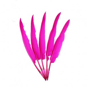 Piuma di Gallo Frusta cm. 30 - Fuchsia 2
