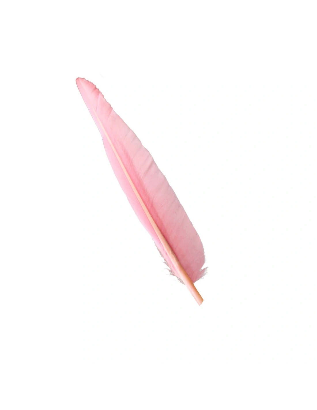 Piuma di Gallo Frusta cm. 30 - Rosa