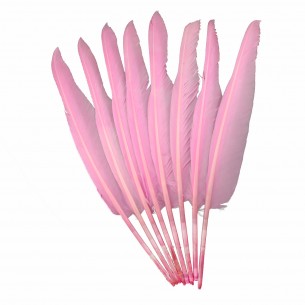 Rooster Feather Whip - Pink... 2
