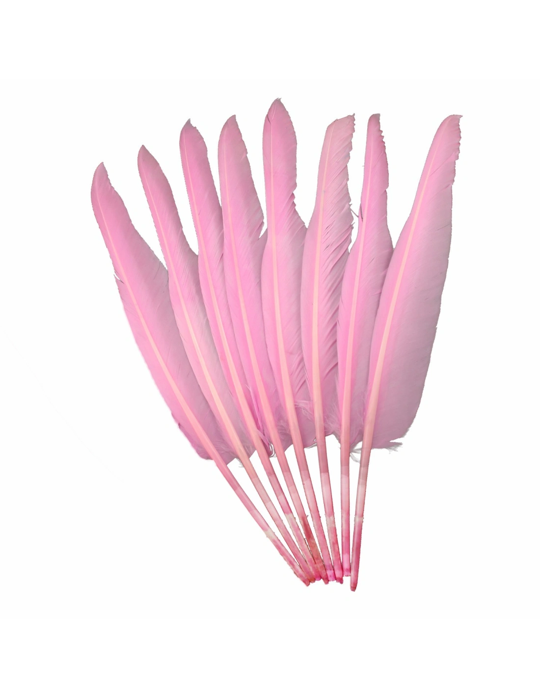 Rooster Feather Whip cm. 30 - Pink - 1PCS - Fringes and Feathers