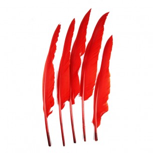 Piuma di Gallo Frusta cm. 30 - Rosso 2