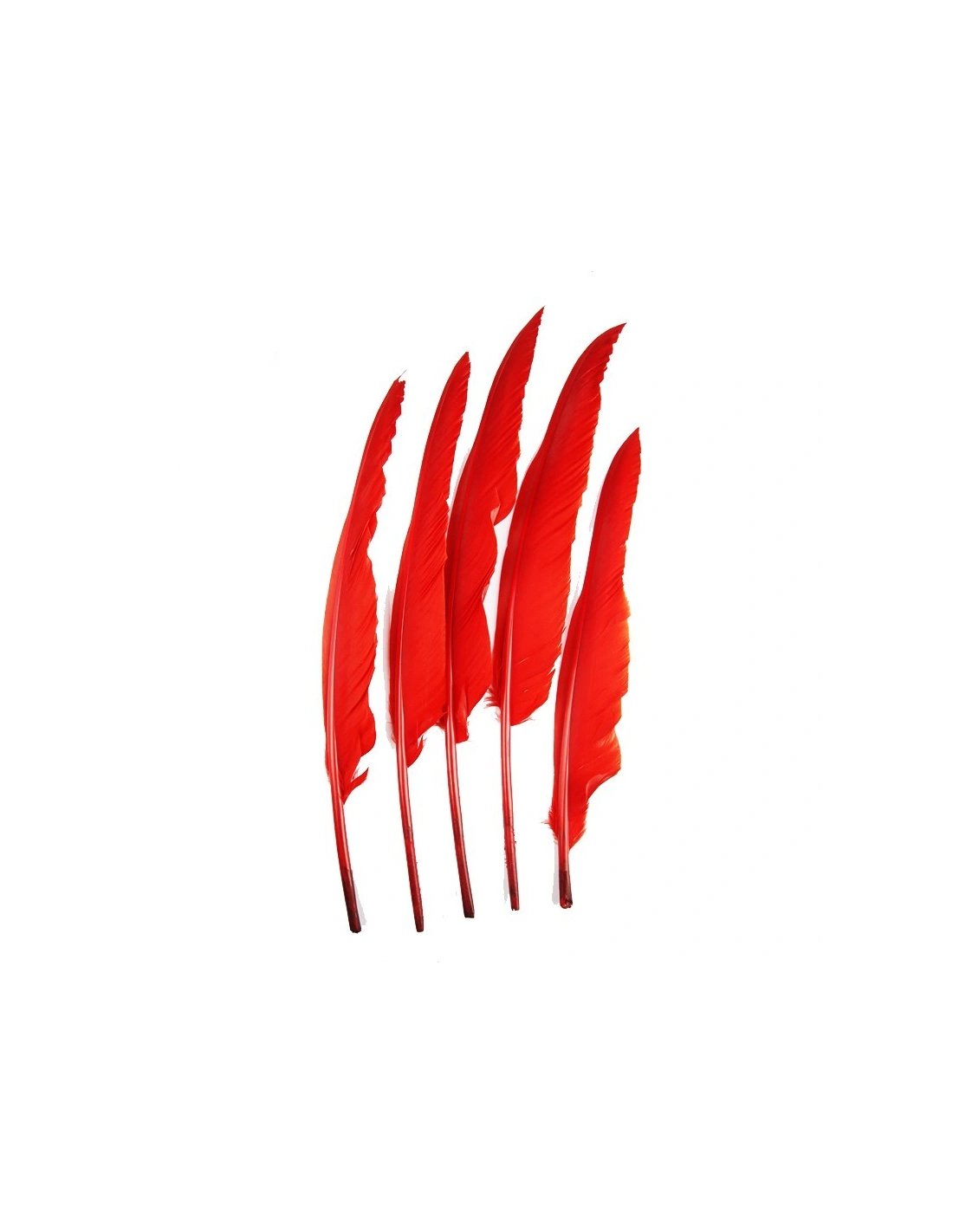 Piuma di Gallo Frusta cm. 30 - Rosso