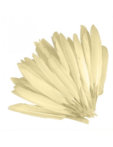 Rooster Feather Whip - Beige - 1PCS
