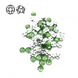 Roses GT Crystal ss 30 (mm... 2
