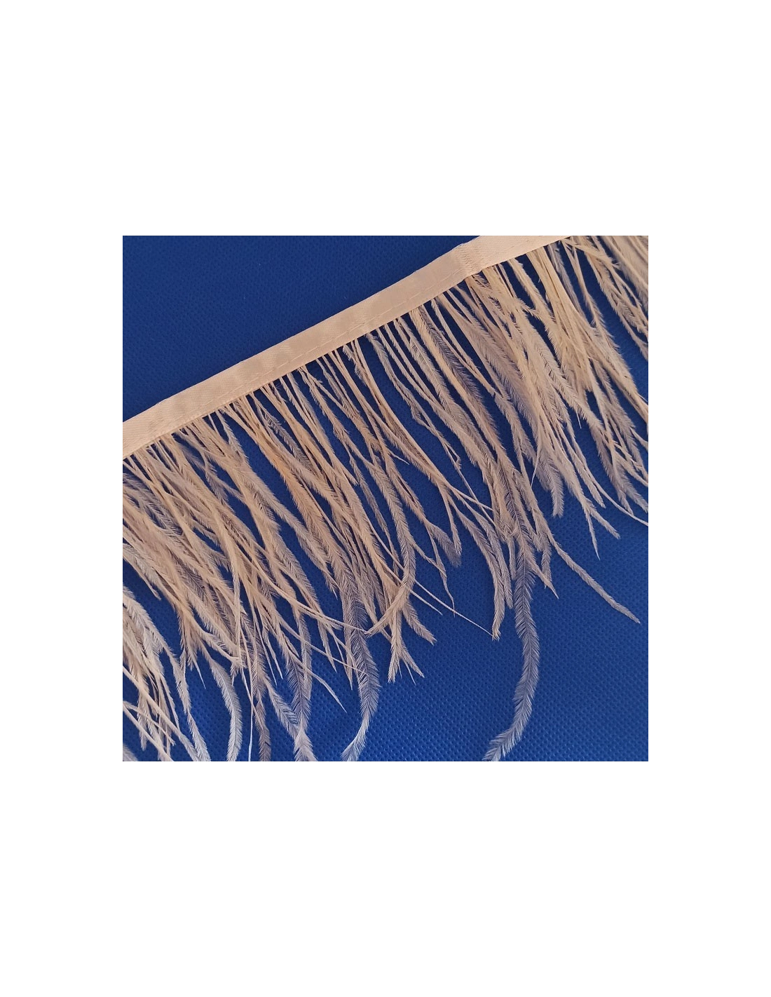 Fringe Sewing Black Ostrich Feathers  Pack - 1MT. - Fringes and Feathers