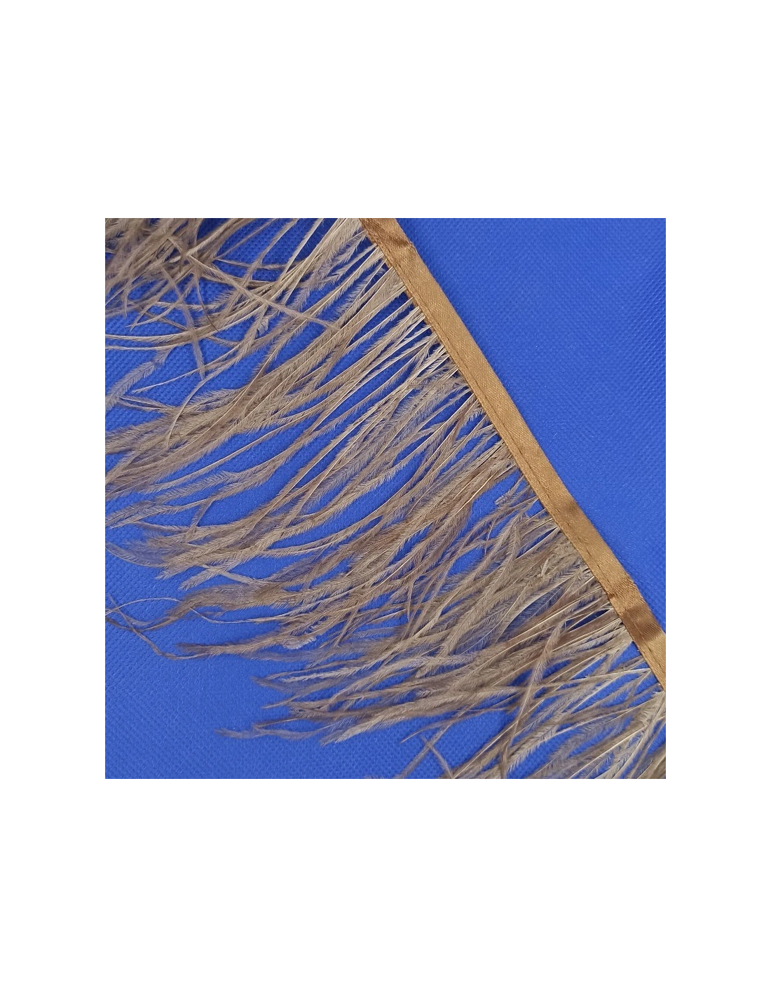 Fringe Sewing Black Ostrich Feathers  Pack - 1MT. - Fringes and Feathers