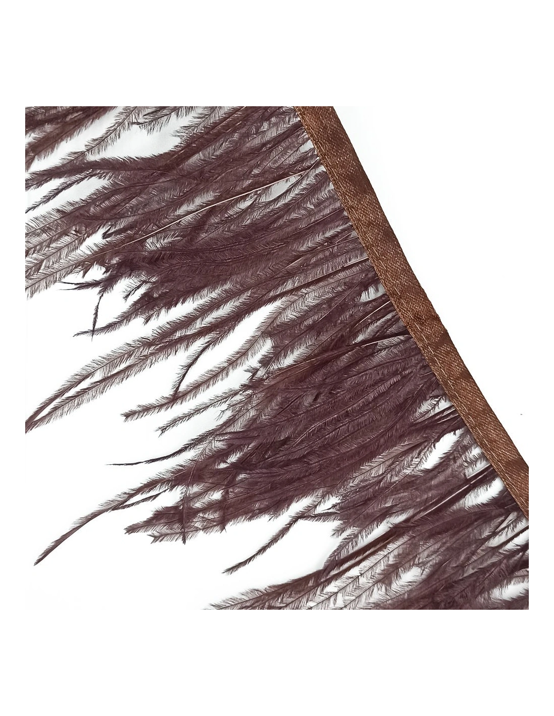 Fringe Sewing Black Ostrich Feathers  Pack - 1MT. - Fringes and Feathers