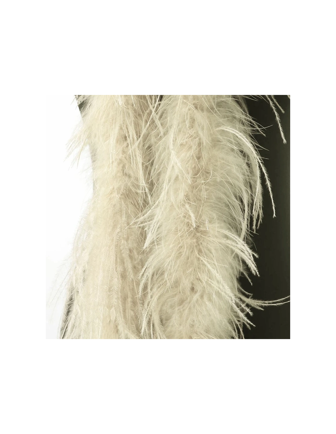 Boa Ostrich Feather Champagne - Pack of 2 mt.
