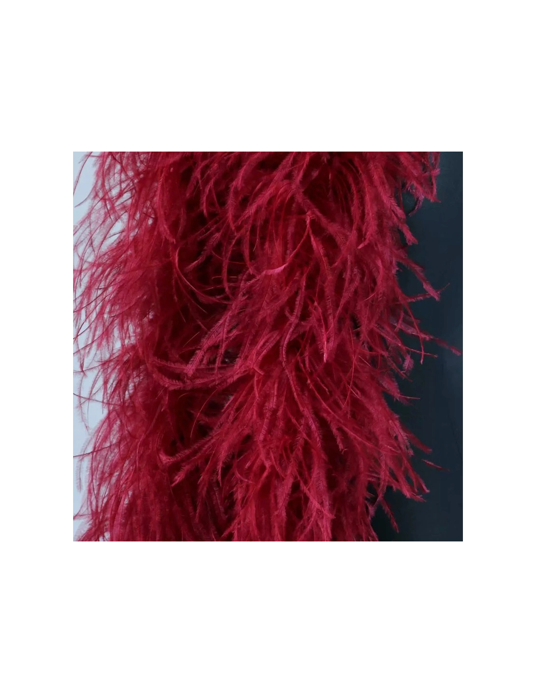 Boa Piume di Struzzo Rosso Scuro - Pacco 2 mt.