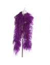 The ostrich feather